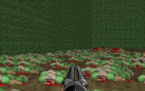 Doom 2 Bots