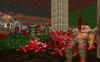 Doom 2 Battle