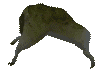houndeye0.gif (4047 bytes)