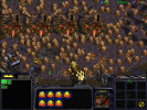 screen03.jpg (252660 bytes)