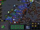 screen16.jpg (288352 bytes)