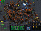 screen17.jpg (287272 bytes)